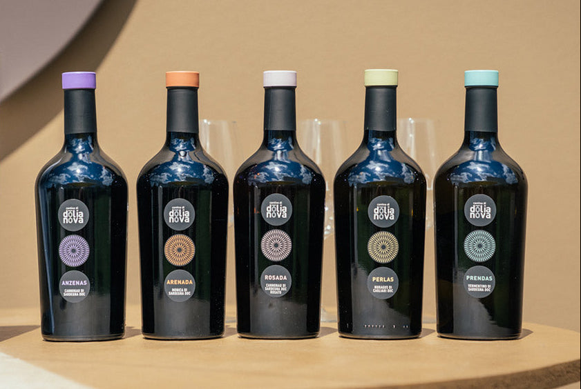 Cinque Cerchi Dolianova Sardinian wine bundle featuring five bottles from Cantine di Dolianova on display