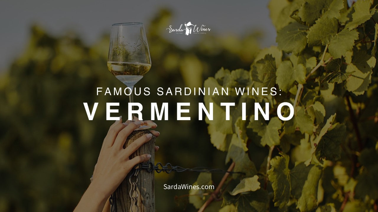 Load video: famous sardinian wine vermentino video