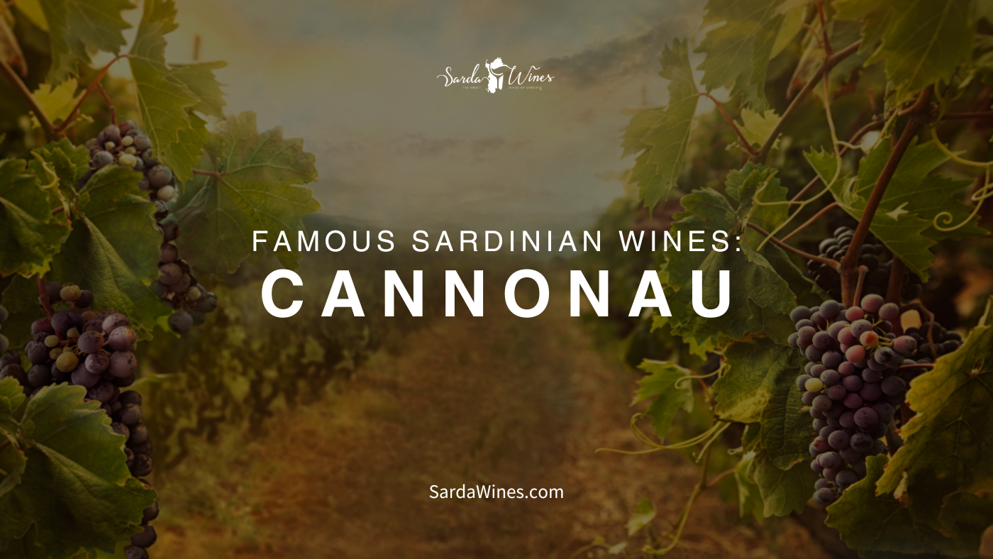 Load video: famous sardinian wine cannonau video