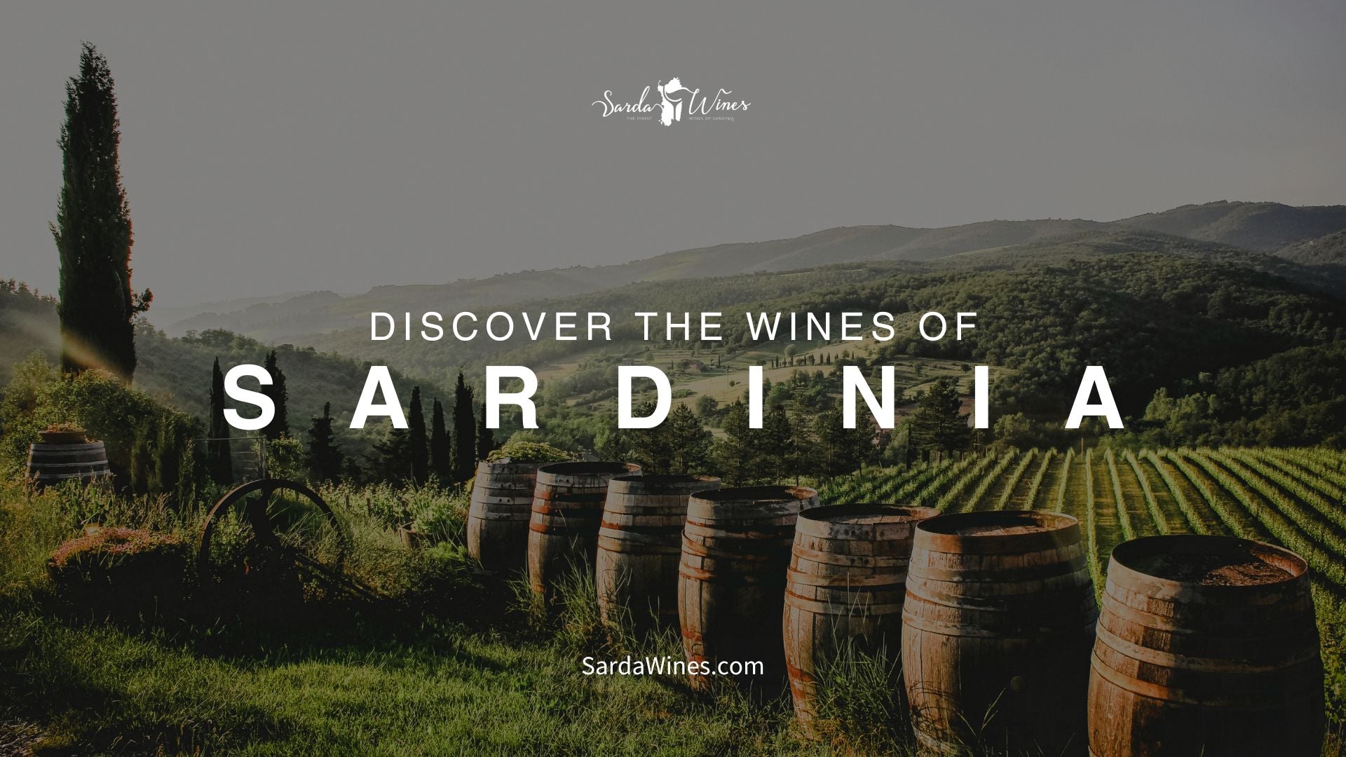 Wine Collections | Italian Wine | Sardinia