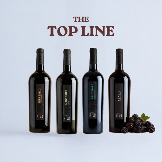 Dolianova Top Line Sardinian wine case featuring four premium red wines on a light background